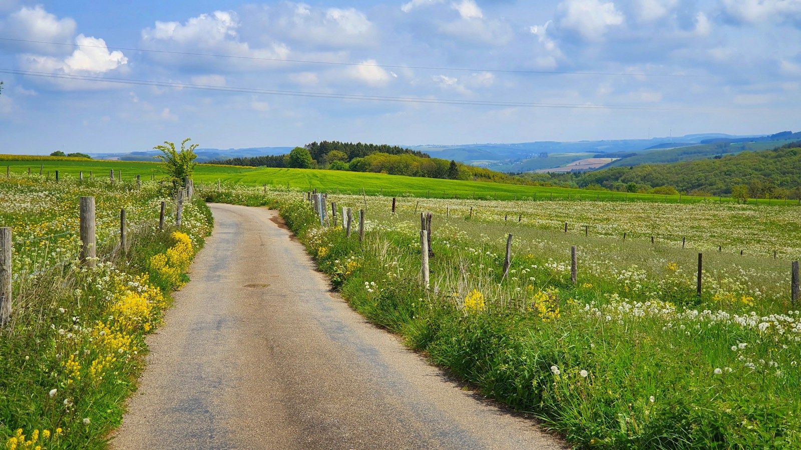 Roadside Residential Land in Mujeliya exterior